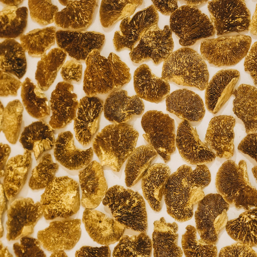 Ontwerp zonder titel (44)